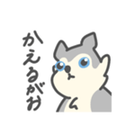 がおがおの業務連絡（個別スタンプ：33）