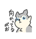 がおがおの業務連絡（個別スタンプ：36）