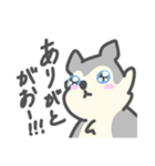 がおがおの業務連絡（個別スタンプ：37）