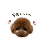 ぽぽちゃん♡mix（個別スタンプ：18）