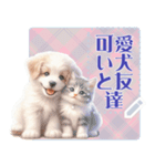 可愛い犬と友達 vol.2 猫猫（個別スタンプ：4）