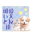 可愛い犬と友達 vol.2 猫猫（個別スタンプ：5）