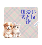 可愛い犬と友達 vol.2 猫猫（個別スタンプ：9）