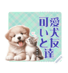 可愛い犬と友達 vol.2 猫猫（個別スタンプ：12）