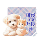 可愛い犬と友達 vol.2 猫猫（個別スタンプ：14）