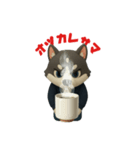犬のトライくん②（個別スタンプ：1）