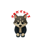 犬のトライくん②（個別スタンプ：5）