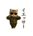 踊る！軍人にゃんこ（個別スタンプ：2）