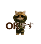 踊る！軍人にゃんこ（個別スタンプ：4）