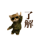 踊る！軍人にゃんこ（個別スタンプ：5）
