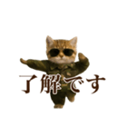 踊る！軍人にゃんこ（個別スタンプ：6）