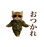 踊る！軍人にゃんこ（個別スタンプ：10）