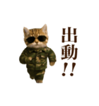 踊る！軍人にゃんこ（個別スタンプ：14）