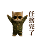 踊る！軍人にゃんこ（個別スタンプ：16）