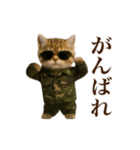 踊る！軍人にゃんこ（個別スタンプ：17）