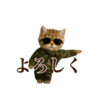 踊る！軍人にゃんこ（個別スタンプ：21）