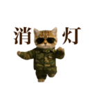 踊る！軍人にゃんこ（個別スタンプ：22）