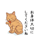 大人の結びのあいさつ(秋冬編)（個別スタンプ：8）