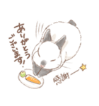 日常使い「立ち耳うさぎ（ヒマラヤン）」（個別スタンプ：3）