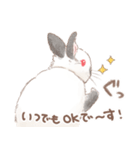 日常使い「立ち耳うさぎ（ヒマラヤン）」（個別スタンプ：5）