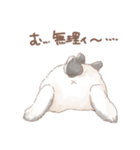 日常使い「立ち耳うさぎ（ヒマラヤン）」（個別スタンプ：6）