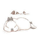 日常使い「立ち耳うさぎ（ヒマラヤン）」（個別スタンプ：7）