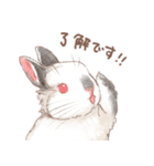 日常使い「立ち耳うさぎ（ヒマラヤン）」（個別スタンプ：8）