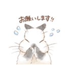 日常使い「立ち耳うさぎ（ヒマラヤン）」（個別スタンプ：9）