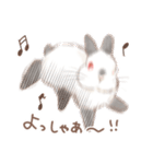 日常使い「立ち耳うさぎ（ヒマラヤン）」（個別スタンプ：12）