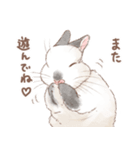 日常使い「立ち耳うさぎ（ヒマラヤン）」（個別スタンプ：17）
