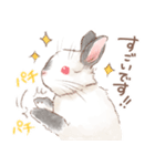 日常使い「立ち耳うさぎ（ヒマラヤン）」（個別スタンプ：20）