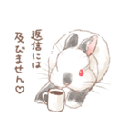 日常使い「立ち耳うさぎ（ヒマラヤン）」（個別スタンプ：23）