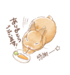 日常使い「立ち耳うさぎ（オレンジ）」（個別スタンプ：3）