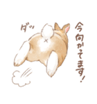 日常使い「立ち耳うさぎ（オレンジ）」（個別スタンプ：4）