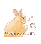 日常使い「立ち耳うさぎ（オレンジ）」（個別スタンプ：5）