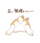 日常使い「立ち耳うさぎ（オレンジ）」（個別スタンプ：6）