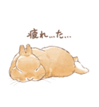 日常使い「立ち耳うさぎ（オレンジ）」（個別スタンプ：7）