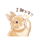 日常使い「立ち耳うさぎ（オレンジ）」（個別スタンプ：8）
