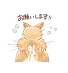 日常使い「立ち耳うさぎ（オレンジ）」（個別スタンプ：9）