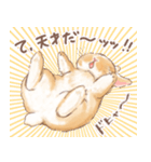 日常使い「立ち耳うさぎ（オレンジ）」（個別スタンプ：11）