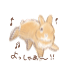 日常使い「立ち耳うさぎ（オレンジ）」（個別スタンプ：12）