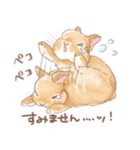 日常使い「立ち耳うさぎ（オレンジ）」（個別スタンプ：13）