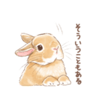 日常使い「立ち耳うさぎ（オレンジ）」（個別スタンプ：16）