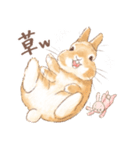 日常使い「立ち耳うさぎ（オレンジ）」（個別スタンプ：21）