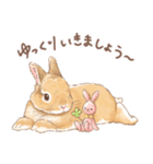 日常使い「立ち耳うさぎ（オレンジ）」（個別スタンプ：22）
