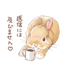 日常使い「立ち耳うさぎ（オレンジ）」（個別スタンプ：23）