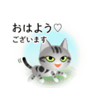 色々な猫9-1 短毛-立ち耳-サバアメショ銀（個別スタンプ：1）