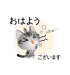 色々な猫9-1 短毛-立ち耳-サバアメショ銀（個別スタンプ：2）