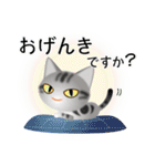 色々な猫9-1 短毛-立ち耳-サバアメショ銀（個別スタンプ：4）