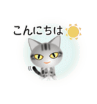 色々な猫9-1 短毛-立ち耳-サバアメショ銀（個別スタンプ：5）